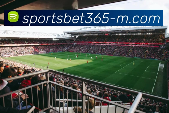 Bet365APP 封面图